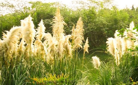 ����«έ����