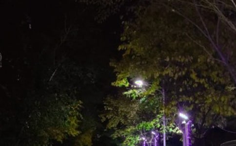 ·�Ƴа���ͬ8ƪ