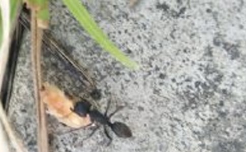 ����������ϡ���ѧ���