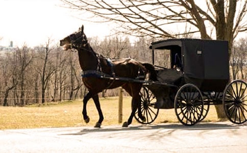 �˳ǡ�������ԭ���Ͷ�