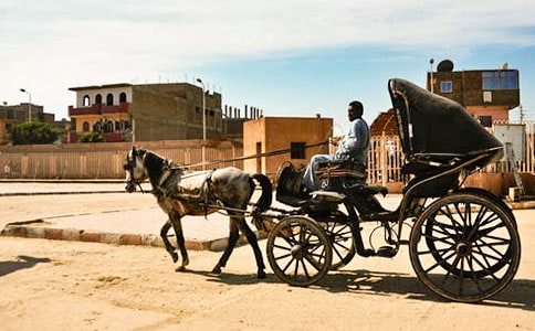 ������Ԣ�Թ���