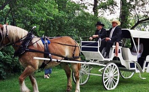 ��ʱ����С��������ѧ���