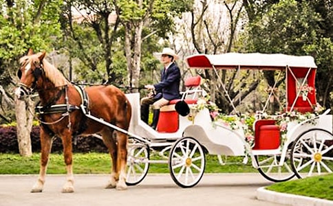 �飬��Ũ��ʱ�����������