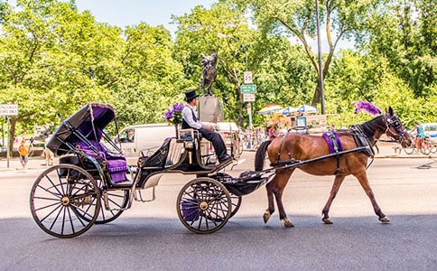 ͯ�����¡����ɫ��������