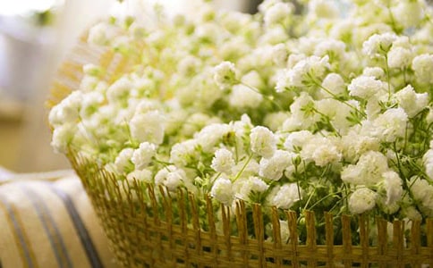 ����ӵ�����������ǵ���������