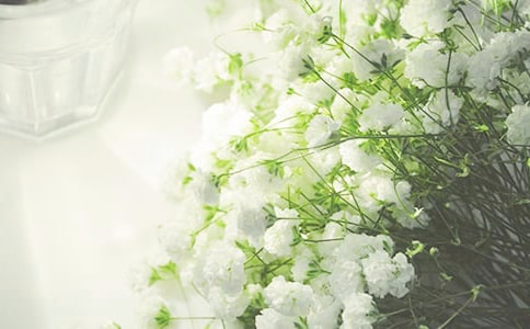 满天星观察日记