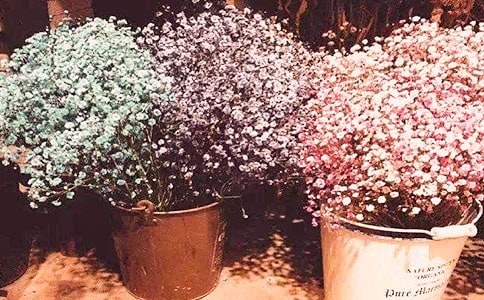 �����е�����������