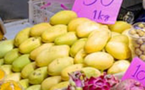 我喜欢吃的芒果小学生作文