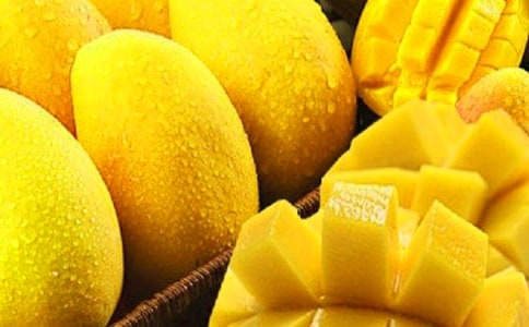 想象作文在森林里的芒果奶奶