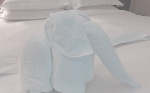 ����ë�����ͺ�ͬ����