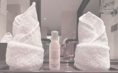 毛巾一家500字作文