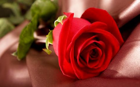 õ��۲��ռ�(9ƪ)