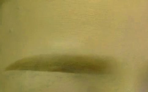 ����üë�ı�����