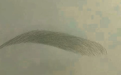 把眉毛画上小学三年级作文