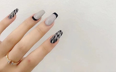 美甲小学生作文