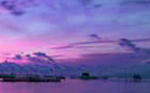 ����ѡ����������600����ƪ