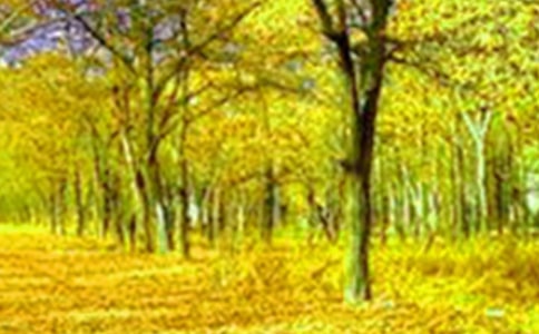 大自然美景小学生优秀作文