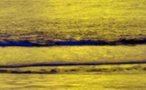 ������������300����ƪ