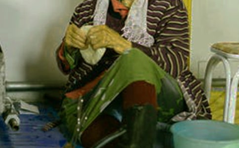 关于描写蒙古族的民风民俗的作文