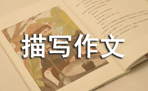 动作描写作文【荐】