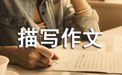 人物外貌描写作文200字