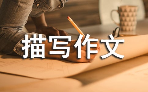 场面描写作文700字