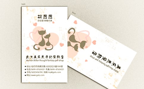 ������������Ƭ��ʹ�÷���