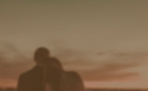 ��Ů���ѵ�ף����