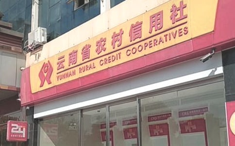 农村信用社员工自我鉴定范文