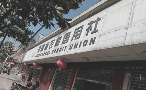 农村信用社个人年终总结范文