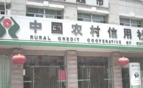 农村信用社年度信贷的工作计划