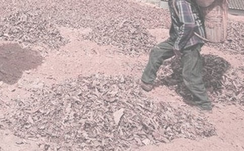 ��ũ������500�֣���ѡ33ƪ��