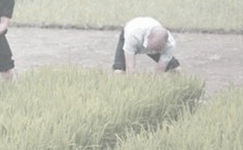 干农活的作文300字(精选29篇)