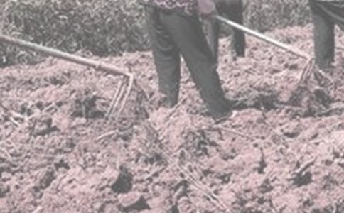 ��һ�θ�ũ�����ģ���ѡ13ƪ��