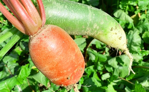 ũ����600������