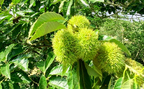 ũ���ִ�ҵ�ƻ���