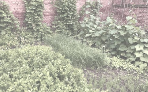 ũ�������ӹ�����ͬ����7ƪ