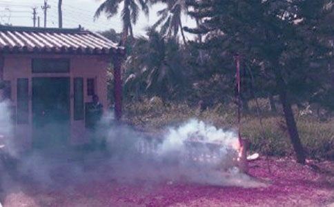 �������дǾ��꣬÷������ӭ�´�����