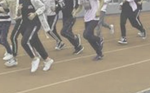 ��Ȥ���ܲ�800������