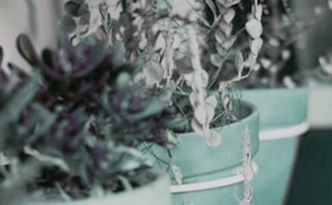 �ҵ�С��������