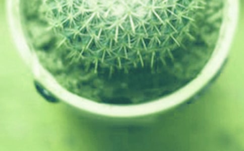 ����������Сѧ����