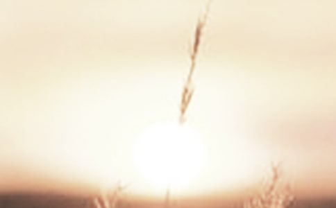 破晓的`希望作文