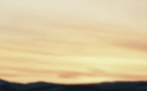 �������ķ���