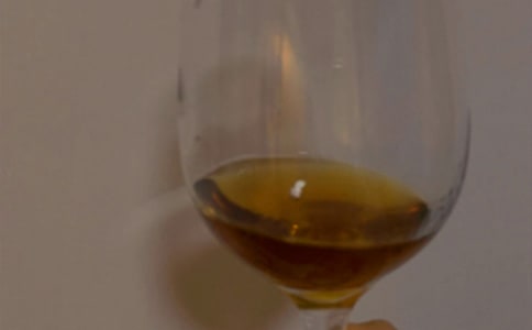 葡萄酒厂游记作文