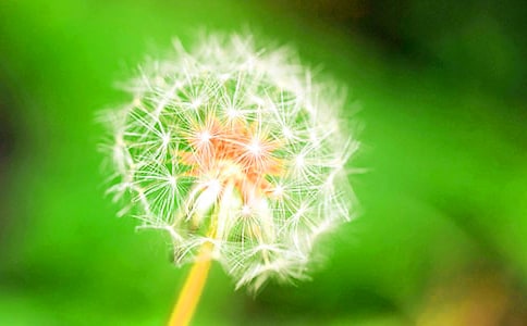 ���ѹ�Ӣ����ѧ���