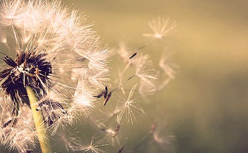 ���ѹ�Ӣ����ѧ��Ʒ��ģ���ѡ3ƪ��