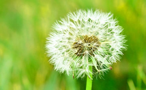 �����ѹ�Ӣ��������500�ַ���ʾ��