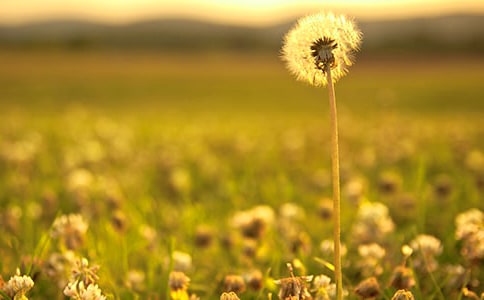 ���ѹ�Ӣ���Ρ��Ľ�ѧ��˼����