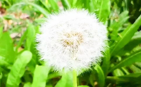 �ѹ�Ӣ��ѧ��Ʒ���