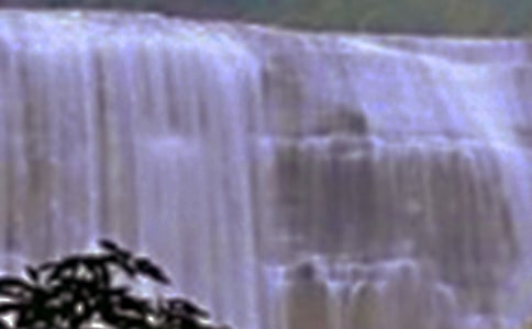 ���ٲ�����Ʒ��ѧ���